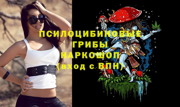 стаф Белокуриха