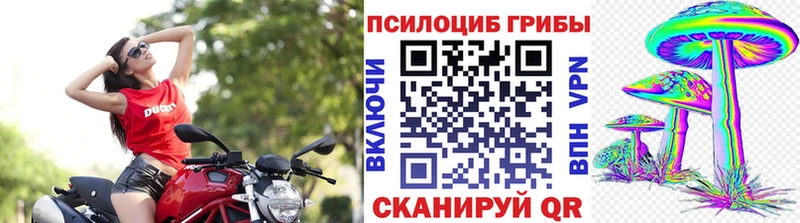 Псилоцибиновые грибы Magic Shrooms  ссылка на мегу онион  Кувандык 